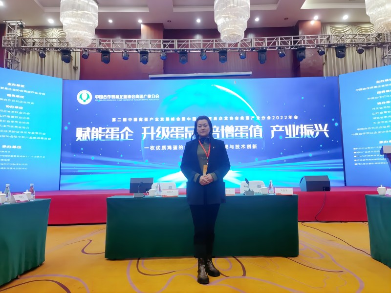 Shijiazhuang Exhibition