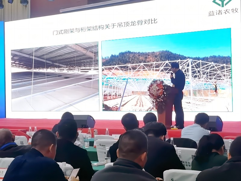 Company Exhibition